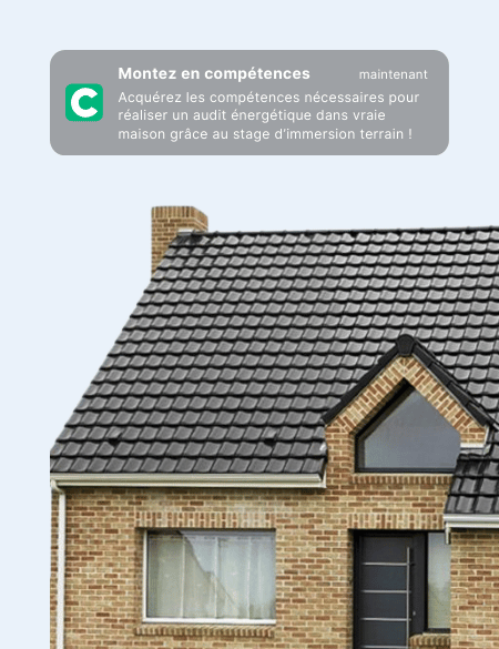 stage d'immersion terrain